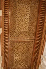 IMG_8768.webp