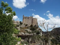 DSCF6731.webp