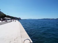 DSCF6765.webp