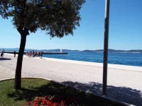 DSCF6766.webp