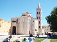 DSCF6772.webp