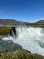 1000085166.webp