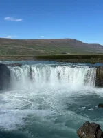1000085157.webp