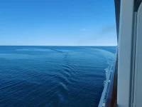 1000019562.webp