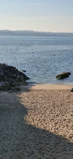 20250804_091630.webp