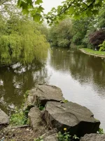 thumbnail_IMG_6651.webp