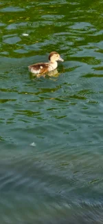 20250810_094117.webp