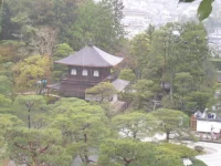 SAM_4093.webp