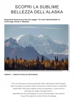 Alaska_before Anchorage_4gg-3n_00.webp