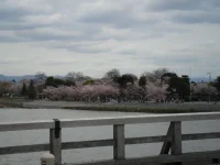 SAM_4263.webp