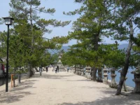 SAM_4448.webp