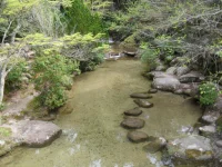 SAM_4503.webp