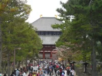 SAM_4540.webp