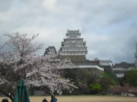 SAM_4670.webp