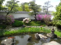 SAM_4741.webp