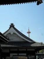 SAM_4798.webp