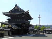 SAM_4810.webp