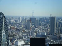 SAM_5282.webp