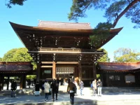SAM_5306.webp