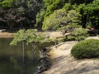 SAM_5386.webp