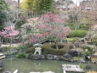 IMG_4842.webp