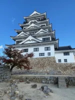 thumbnail_IMG_0097.webp