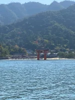 thumbnail_IMG_0158.webp