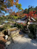 thumbnail_IMG_0199.webp