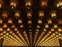 thumbnail_IMG_0202.webp