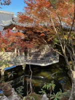 thumbnail_IMG_0203.webp