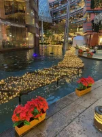 thumbnail_IMG_0272.webp