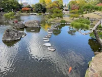 thumbnail_IMG_0371.webp