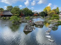 thumbnail_IMG_0372.webp
