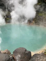 thumbnail_IMG_0417.webp