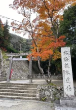 thumbnail_IMG_0528.webp