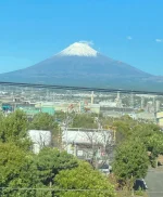thumbnail_IMG_0664.webp