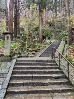 thumbnail_IMG_0700.webp