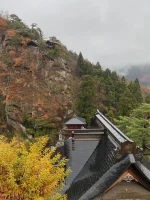 thumbnail_IMG_0708.webp