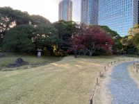 Hama Rikyu (5).webp