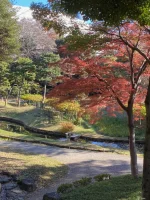 Koishikawa Korakuen (14).webp