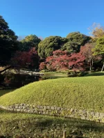 Koishikawa Korakuen (17).webp