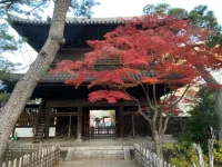 Sengakuji (4).webp