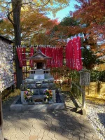 thumbnail_IMG_1439.webp