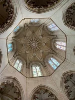 thumbnail_IMG_9505.webp