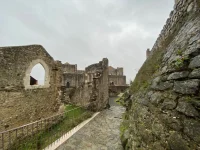 thumbnail_IMG_9571.webp