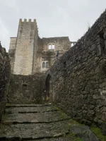 thumbnail_IMG_9579.webp
