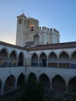 thumbnail_IMG_9446.webp