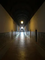 thumbnail_IMG_9463.webp