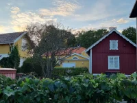 20250913_184058 - Copia.webp