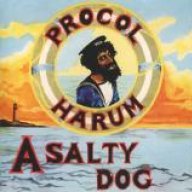 a salty dog